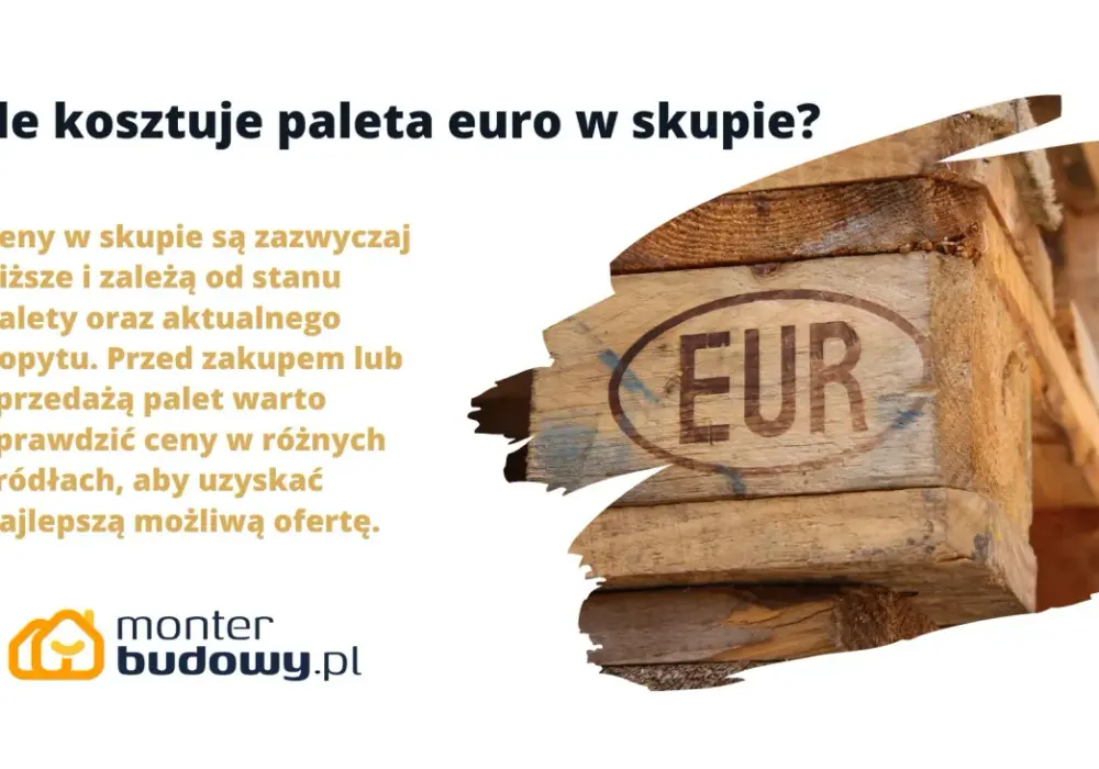 Ile kosztuje euro w skupie? Sprawdź, gdzie sprzedać euro najkorzystniej!