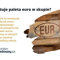 Ile kosztuje euro w skupie? Sprawdź, gdzie sprzedać euro najkorzystniej!