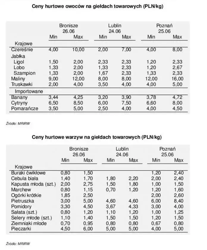 Zdjęcie Aktualne ceny malin na skupie – ile naprawdę możesz zarobić? Sprawdź teraz!